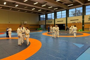 5 Gruppen von jeweils zwei bis drei Judoka trainieren in der Halle 