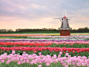 Die Neiderlande wollen die nächsten Europaspiele im Jahr 2019 ausrichten. Foto: picture-alliance
