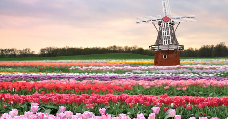 Die Neiderlande wollen die nächsten Europaspiele im Jahr 2019 ausrichten. Foto: picture-alliance