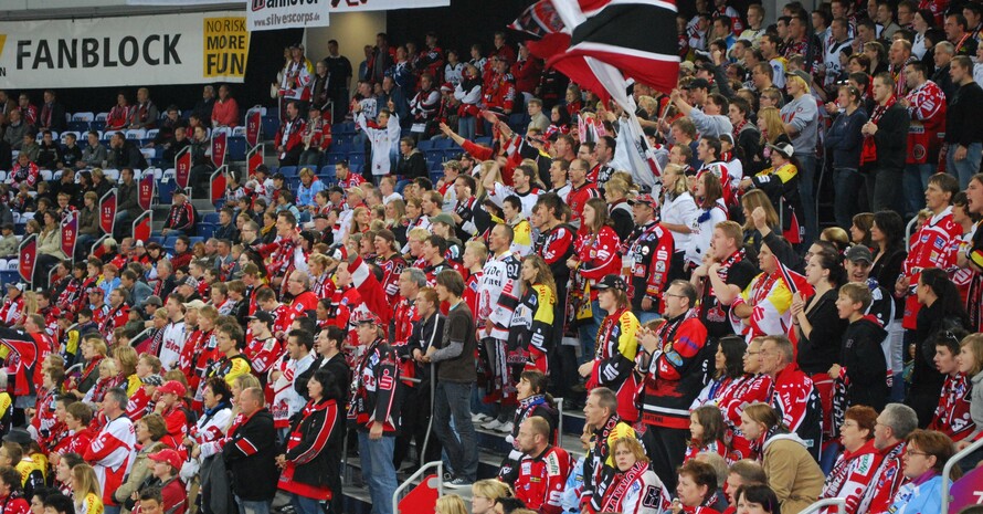 Fan-Block in  der TUI-Arena (Quelle: DOSB)